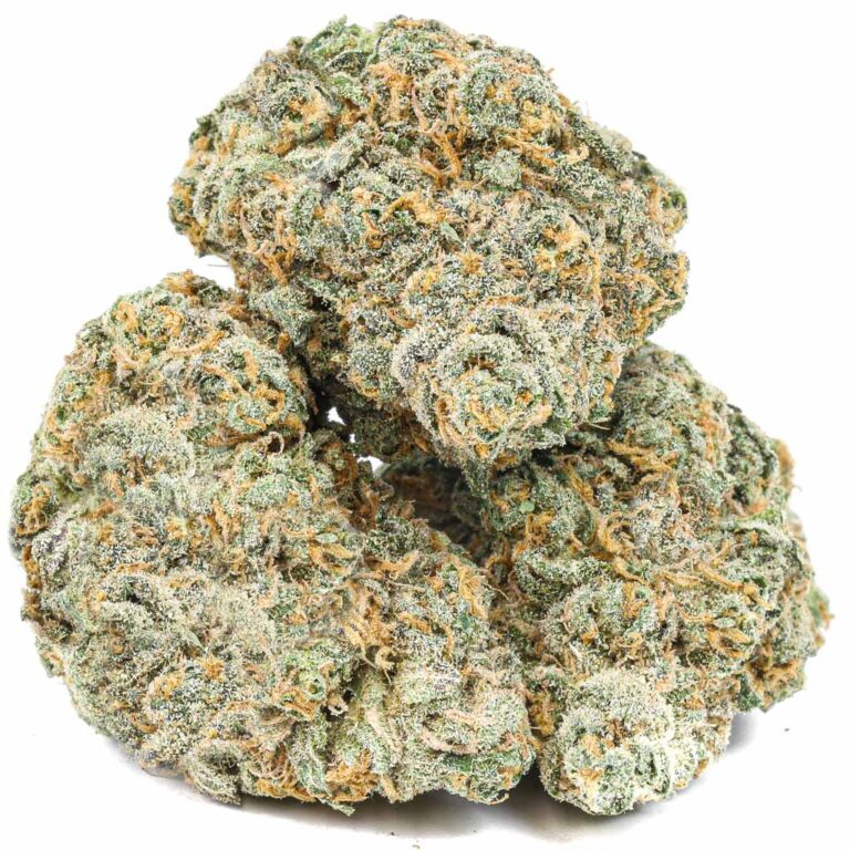 York Dispensary Tropical Infusion Haze After Dark Cannabis