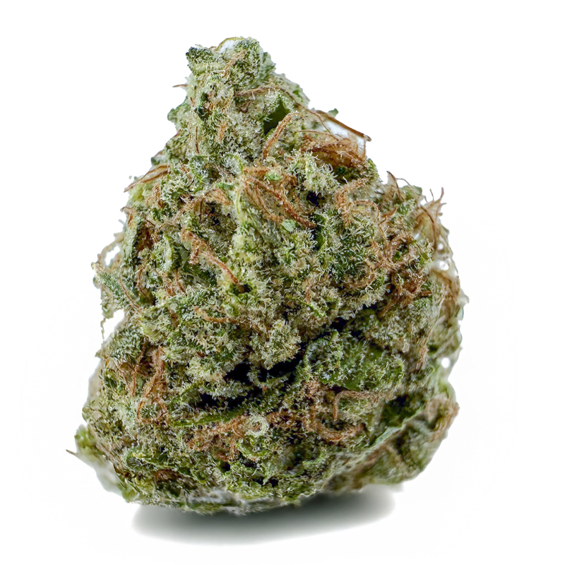 PINK JET FUEL