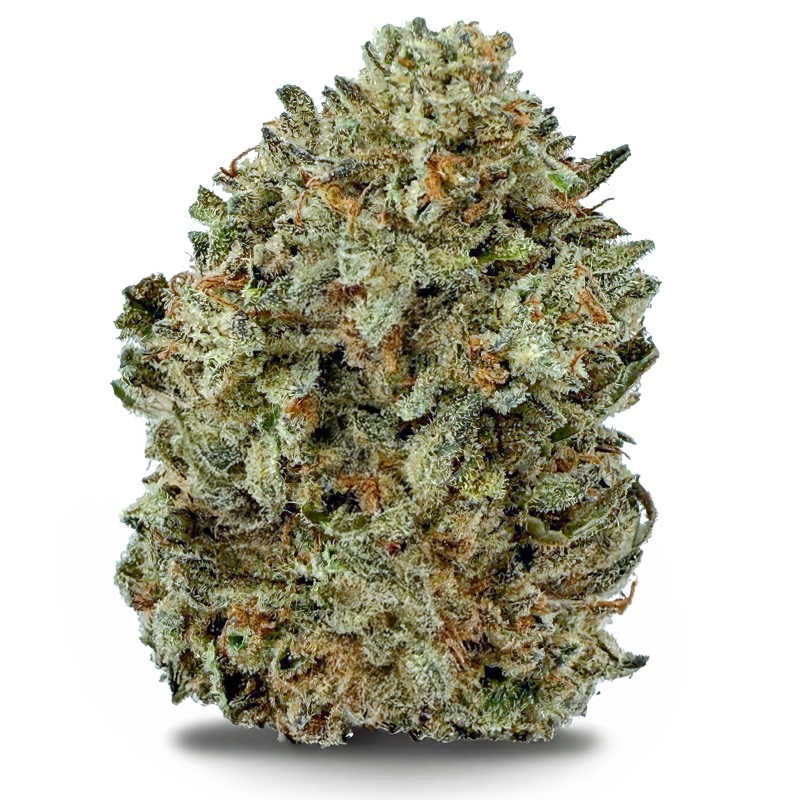DAYDREAM DIESEL