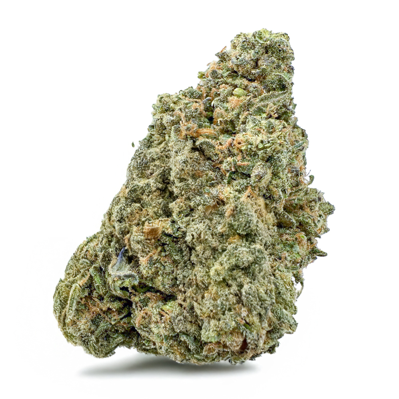 NORTHERN LIGHTS